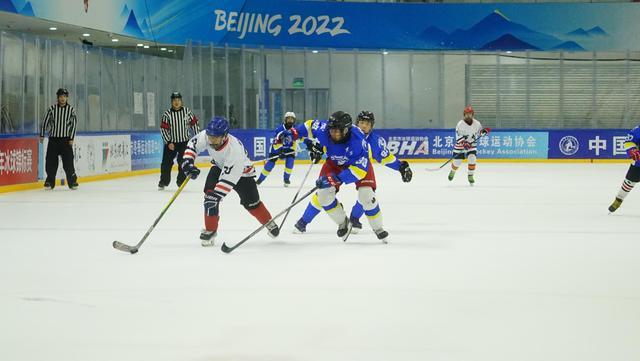 组别, 幕彰显首都, 共有来自全