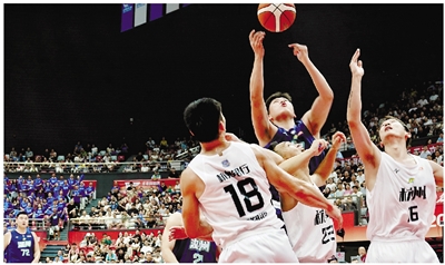 偏向虎山行, yid, 庆元队的主